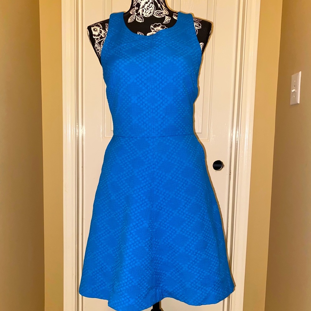 Banana Republic skater dress